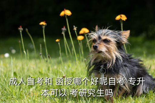 成人自考和 函授哪個(gè)好呢自考 專(zhuān)升本可以 考研究生嗎