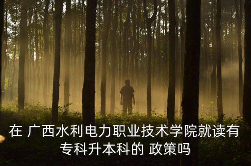 在 廣西水利電力職業(yè)技術(shù)學(xué)院就讀有?？粕究频?政策嗎