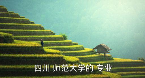  四川 師范大學(xué)的 專業(yè)