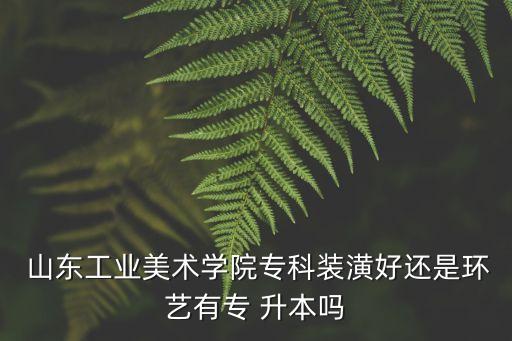  山東工業(yè)美術(shù)學(xué)院專(zhuān)科裝潢好還是環(huán)藝有專(zhuān) 升本嗎