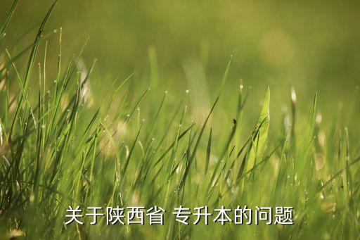 關于陜西省 專升本的問題