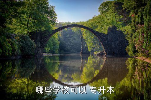 哪些學(xué)?？梢?專升本