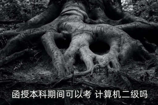  函授本科期間可以考 計算機(jī)二級嗎