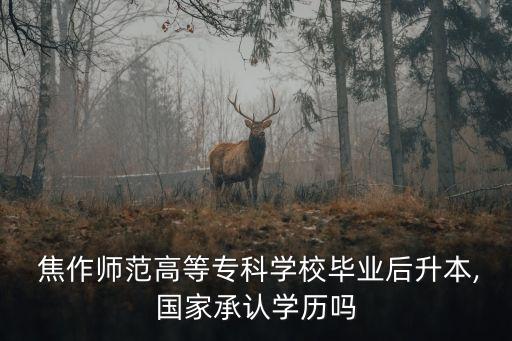  焦作師范高等?？茖W校畢業(yè)后升本,國家承認學歷嗎