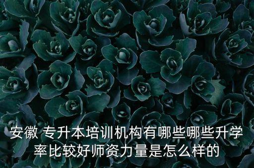 安徽 專升本培訓(xùn)機(jī)構(gòu)有哪些哪些升學(xué)率比較好師資力量是怎么樣的