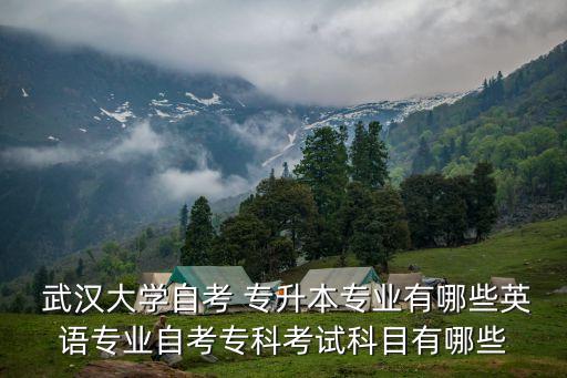  武漢大學(xué)自考 專升本專業(yè)有哪些英語專業(yè)自考?？瓶荚嚳颇坑心男? class=