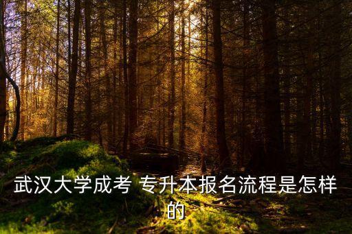 武漢大學成考 專升本報名流程是怎樣的