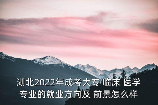 湖北2022年成考大專(zhuān) 臨床 醫(yī)學(xué)專(zhuān)業(yè)的就業(yè)方向及 前景怎么樣