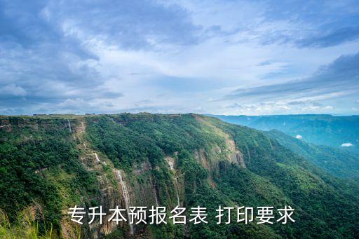  專升本預(yù)報(bào)名表 打印要求