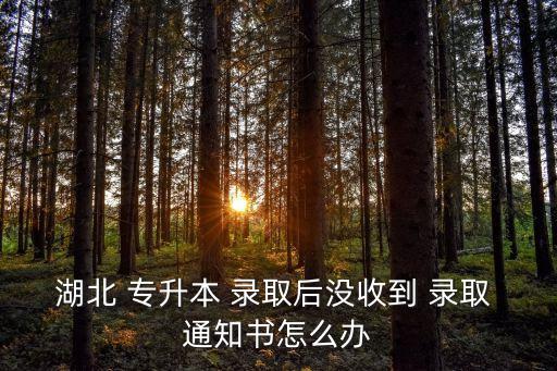 湖北 專(zhuān)升本 錄取后沒(méi)收到 錄取 通知書(shū)怎么辦