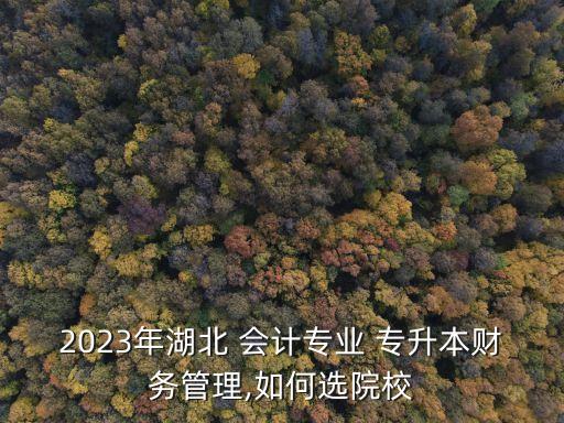 專升本會計報什么學校,重慶專升本會計專業(yè)可以報哪些學校
