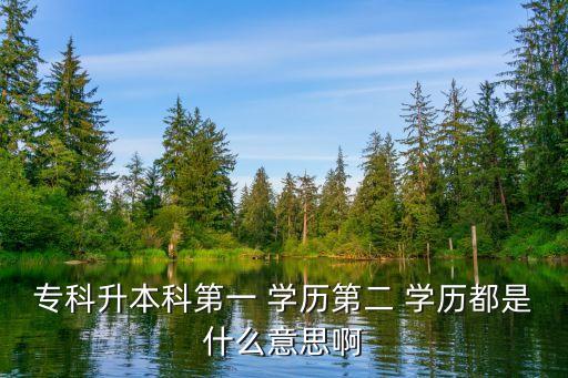 專(zhuān)科升本科第一 學(xué)歷第二 學(xué)歷都是什么意思啊