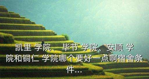 凱里 學(xué)院、 畢節(jié) 學(xué)院、安順 學(xué)院和銅仁 學(xué)院哪個(gè)要好一點(diǎn)啊宿舍條件...