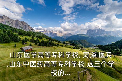 山東醫(yī)學(xué)高等?？茖W(xué)校, 菏澤 醫(yī)專,山東中醫(yī)藥高等?？茖W(xué)校,這三個(gè)學(xué)校的...