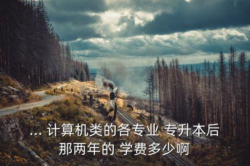 ... 計算機類的各專業(yè) 專升本后那兩年的 學(xué)費多少啊