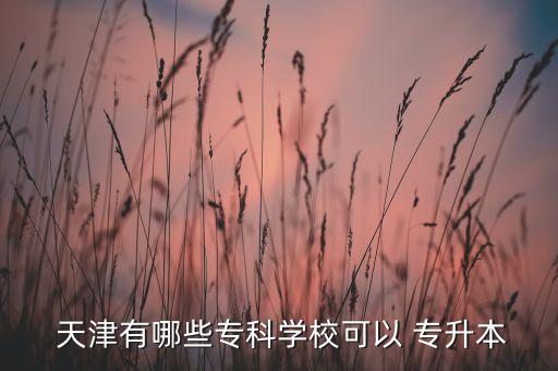  天津有哪些?？茖W(xué)?？梢?專升本