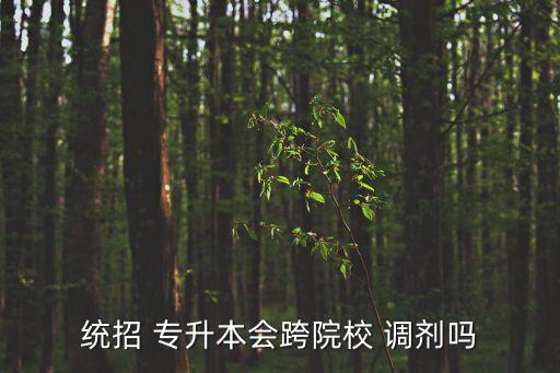 統(tǒng)招 專升本會跨院校 調劑嗎
