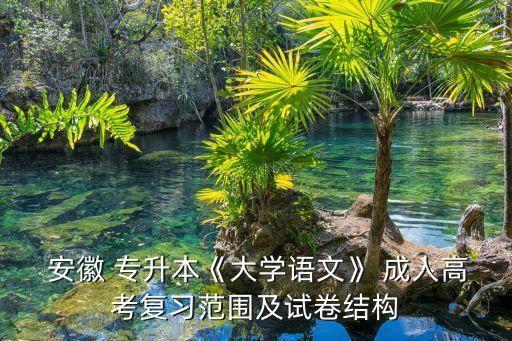 安徽 專升本《大學語文》 成人高考復習范圍及試卷結(jié)構(gòu)