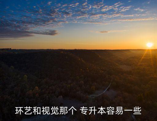 環(huán)藝和視覺(jué)那個(gè) 專升本容易一些