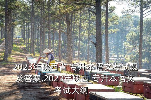 2023年陜西省 專(zhuān)升本語(yǔ)文考試題及答案,2023年陜西 專(zhuān)升本語(yǔ)文考試大綱...