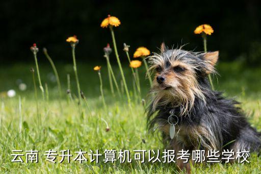 普洱學(xué)院2017年專升本,云南普洱學(xué)院專升本錄取分數(shù)線