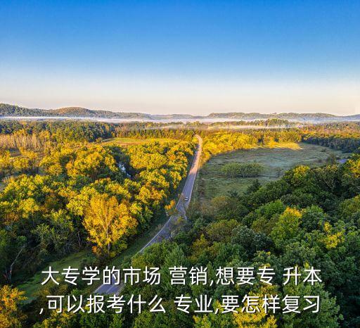  大專(zhuān)學(xué)的市場(chǎng) 營(yíng)銷(xiāo),想要專(zhuān) 升本,可以報(bào)考什么 專(zhuān)業(yè),要怎樣復(fù)習(xí)