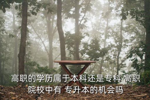  高職的學(xué)歷屬于本科還是?？?高職 院校中有 專升本的機會嗎