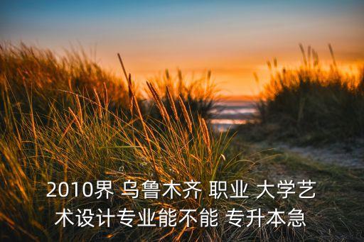 2010界 烏魯木齊 職業(yè) 大學(xué)藝術(shù)設(shè)計專業(yè)能不能 專升本急
