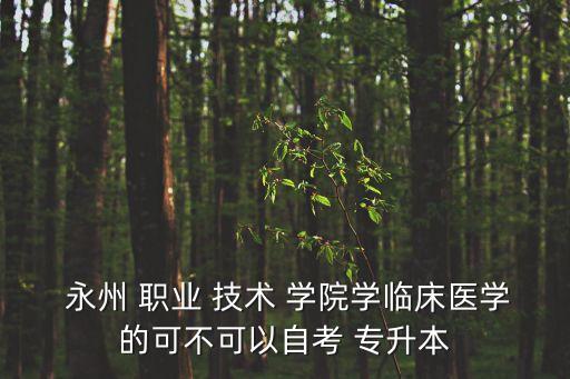  永州 職業(yè) 技術(shù) 學(xué)院學(xué)臨床醫(yī)學(xué)的可不可以自考 專(zhuān)升本