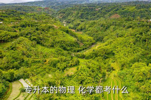  專升本的物理 化學都考什么