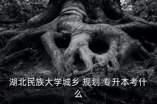 湖北民族大學城鄉(xiāng) 規(guī)劃 專升本考什么