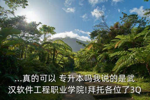 武軟有沒(méi)有專(zhuān)升本,武軟專(zhuān)升本可以去哪些學(xué)校