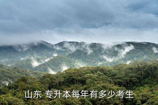 山東 專升本每年有多少考生