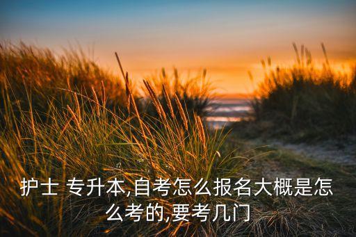 普通高校護理專升本報名,2022年普通高校專升本報名系統(tǒng)