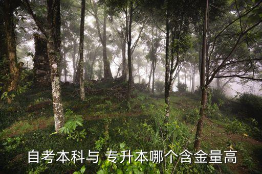  自考本科與 專升本哪個(gè)含金量高