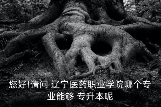 遼寧單招學(xué)校專升本,單招的學(xué)?？梢詫Ｉ締? /></a><a href=