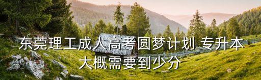  東莞理工成人高考圓夢計劃 專升本大概需要到少分