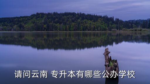請(qǐng)問(wèn)云南 專升本有哪些公辦學(xué)校