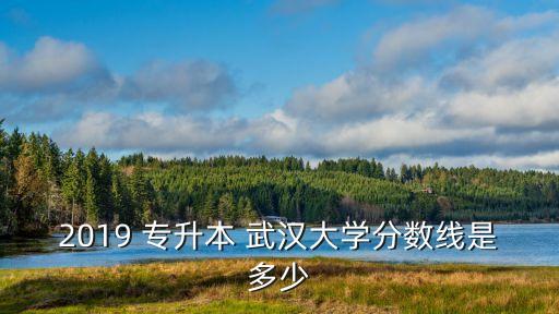 2019 專(zhuān)升本 武漢大學(xué)分?jǐn)?shù)線(xiàn)是多少