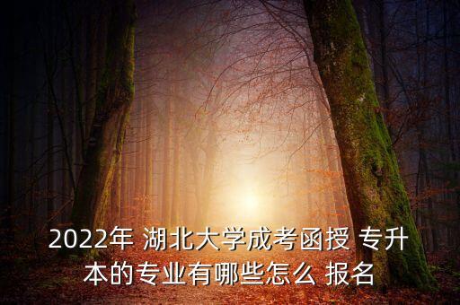 2022年 湖北大學(xué)成考函授 專升本的專業(yè)有哪些怎么 報(bào)名