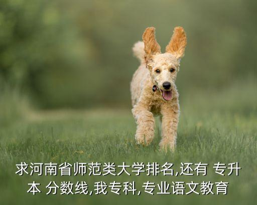 南陽師范學(xué)院專升本招生分?jǐn)?shù)線