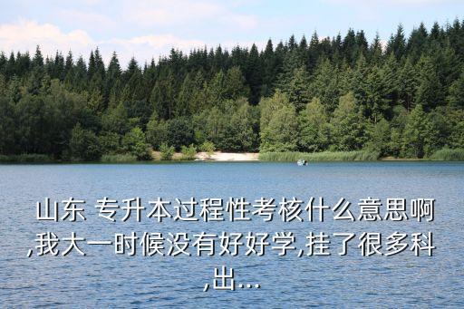  山東 專升本過程性考核什么意思啊,我大一時候沒有好好學,掛了很多科,出...