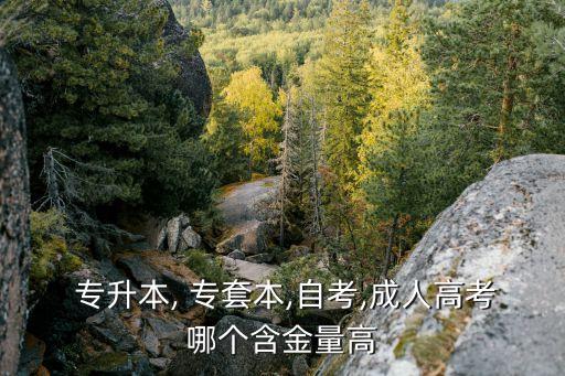 自學專升本和專套本,自考專升本和報班專升本一樣嗎