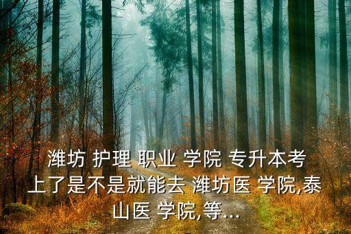  濰坊 護理 職業(yè) 學(xué)院 專升本考上了是不是就能去 濰坊醫(yī) 學(xué)院,泰山醫(yī) 學(xué)院,等...