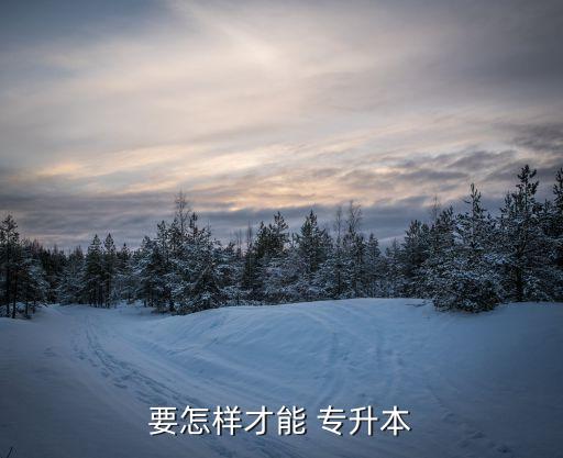 應(yīng)屆畢業(yè)生怎么專(zhuān)升本,不是應(yīng)屆畢業(yè)生可以專(zhuān)升本嗎
