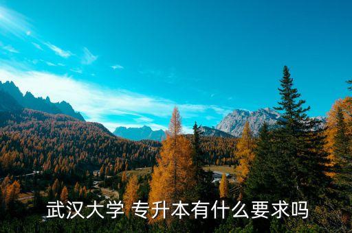 專升本升武漢大學,武漢大學國際教育學院專升本