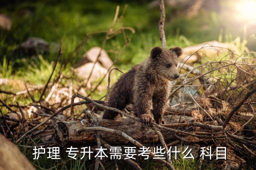  護理 專升本需要考些什么 科目