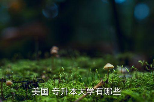 專升本留學(xué)學(xué)校嗎,韓國(guó)專升本留學(xué)條件