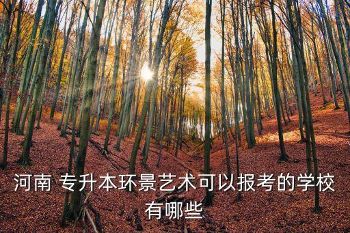 河南 專升本環(huán)景藝術(shù)可以報考的學(xué)校有哪些