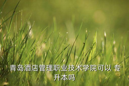 專(zhuān)升本 青島